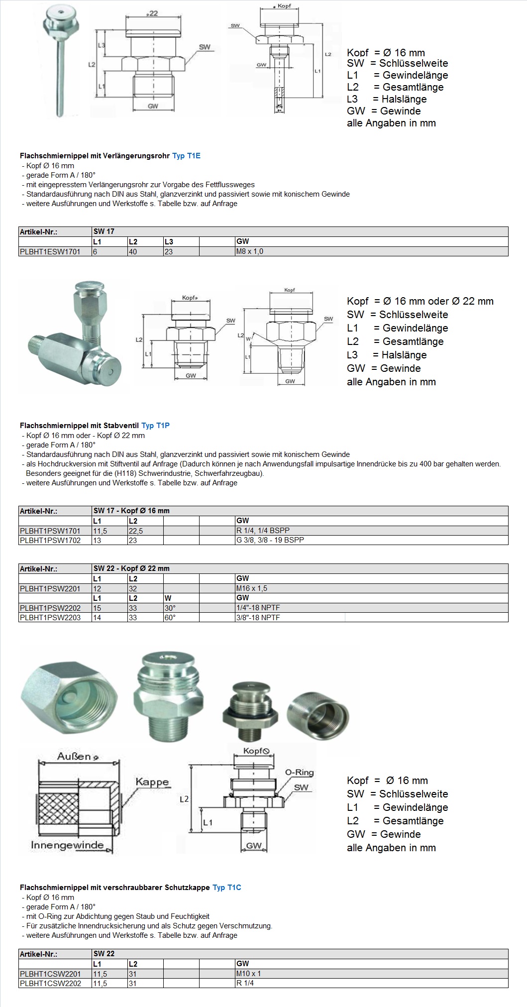 Button-head grease nipples – special designs TD DE